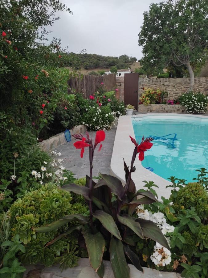Willa Vivienda Rural Sierra De Cadiz, Cabeza Del Rey Prado Del Rey Zewnętrze zdjęcie